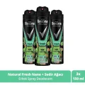 Genel Ürün Men Erkek Sprey Deodorant Natural Fresh Nane ve Sedir Ağacı 150 ml x3 Adet