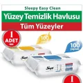Genel Ürün Easy Clean Çamaşır Suyu Katkılı Ve Arap Sabunu Katkılı Yüzey Temizlik Seti