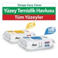 Havlu Easy Clean Arap Sabunu Çamaşır Suyu Katkılı Yüzey Temizlik Havlusu&mendili (200 YAPRAK)