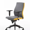 Genel Ürün Havana Çalışma Koltuğu, Orta Sırt, Plastik Ayak, Antrasit & Sarı
