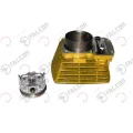 Genel Ürün Falcon Silindir Piston Komple Q63.50 13 Perno Sarı-Leopar 222