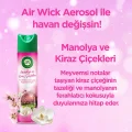 Genel Ürün Aerosol Manolya ve Kiraz Çiçeği 300 ml