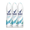 Genel Ürün Shower Fresh 150 ml Deodorant X 3