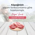 Genel Ürün Kuzu Etli Ve Pirinçli Yetişkin Köpek Maması 15 Kg