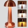 Lamba 3 Renk Yanma Modlu Mantar BAKIR Renk Masa Lambası 1 ADET CT-8430