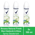 Genel Ürün Kadın Deodorant Natural Fresh Mavi Gelincik & Elma 150 Ml - 3lü Avantaj Paketi