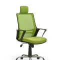 Genel Ürün Arya2 Bilgisayar Koltuğu - Ofis - Müdür - Büro - Çalışma Sandalyesi Yeşil Renk Krom Ayaklı