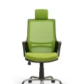 Genel Ürün Arya2 Bilgisayar Koltuğu - Ofis - Müdür - Büro - Çalışma Sandalyesi Yeşil Renk Krom Ayaklı