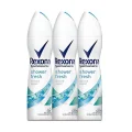 Genel Ürün Shower Fresh Kadın Deodorant 150 ml x 3 Adet