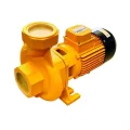 Genel Ürün CS300 3 HP 220V Monofaze Damlama Sulama Salyangoz Santrifüj Pompa - Bakır Sargı