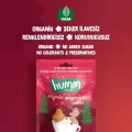 BUĞZ Humm Organik Vegan Zencefilli ve Tarçınlı Kurabiye 6lı Set