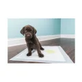 Köpek Tuvalet Çiş Eğitim Pedi 60x90 cm ( 10 Adet )