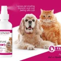 Pro Perfeck Kedi Ve Köpek Fantezi Parfüm 100 ml