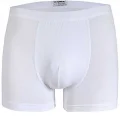 Star 103 Erkek  Modal Boxer