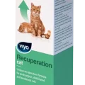 Viyo Recuperation Kedi Ek Besin Takviyesi 150 ML