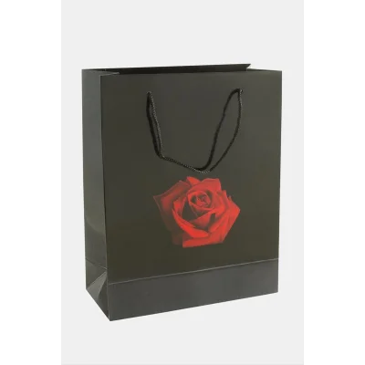  20*25 Gül İpli Karton Çanta 1 Adet