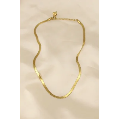 BUĞZ 316L Çelik Altın Renk 45 cm İtalyan Zincir Model Kadın Kolye