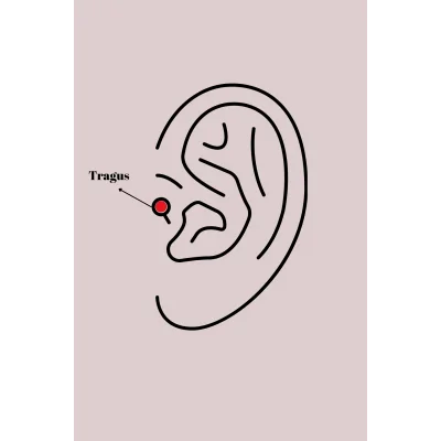 BUĞZ 316L Çelik Gümüş Renk Dal Model Zirkon Taş Detaylı Tragus Piercing - Lisinya