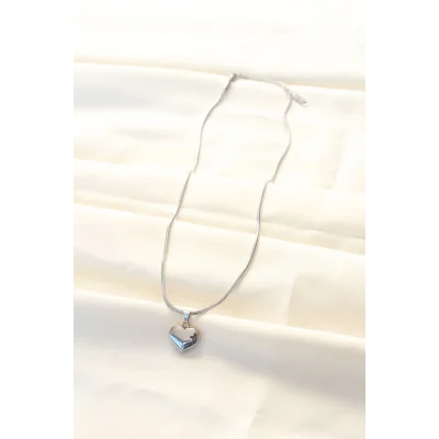 BUĞZ 316L Çelik Gümüş Renk Kalp Kolye - Lisinya
