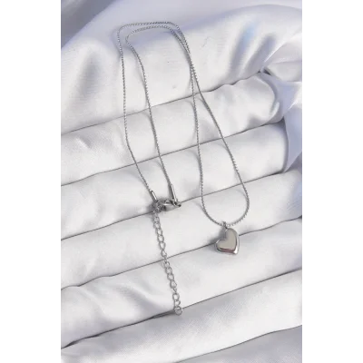 BUĞZ 316L Çelik Gümüş Renk Minimal Kalp Tasarımlı Kolye - Lisinya