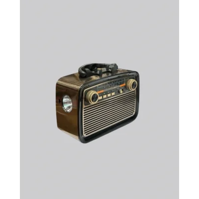 BUĞZ Ahşap Dokulu Bluetooth Müzik Kutusu – Vintage LED Tasarımıyla Modern Ses Deneyimi - Lisinya