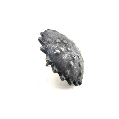 BUĞZ Eco Lounge Antika Tarz Dekoratif Pirinç Yıldız Kabara - 42 mm, Oksit