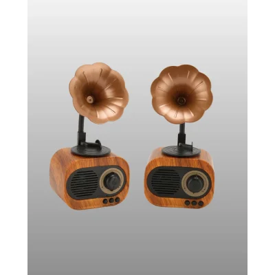 BUĞZ B5 RADYO - BUĞZ