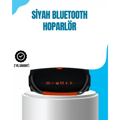 BUĞZ Bluetooth 5.1 Kablosuz Hoparlör Derin Bas RGB Işıklı