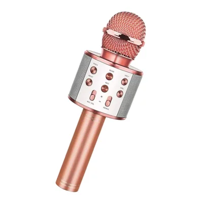 BUĞZ Bluetooth Karaoke Mikrofon Bx40