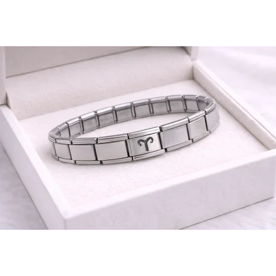 BUĞZ Çelik Nomination Bileklik Koç Burcu | Paslanmaz Çelik Burç Bilekliği | Güçlü ve Şık Tasarım