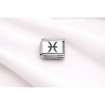 BUĞZ Çelik Nomination Charm Balık Burcu | Paslanmaz Çelik Bileklik Charmı | Burç Temalı Zarif Takı