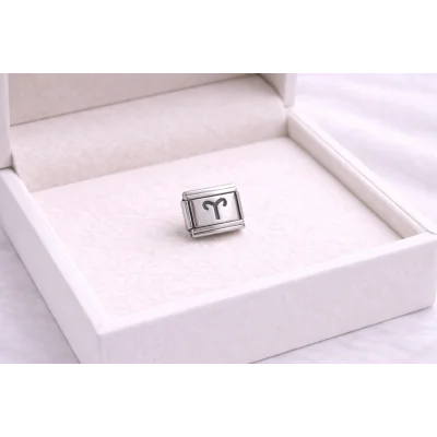 BUĞZ Çelik Nomination Charm Koç Burcu | Paslanmaz Çelik Bileklik Charmı | Burç Temalı Şık Takı