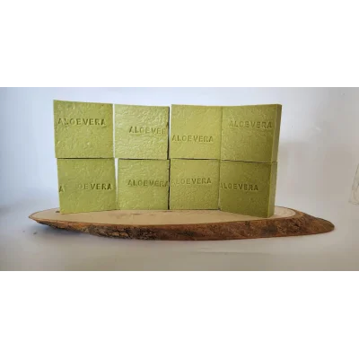 BUĞZ ÇİÇEK GRUBU ALOEVERA 8 Lİ