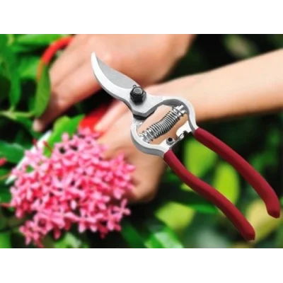 BUĞZ Çok Amaçlı Bahçe Makası