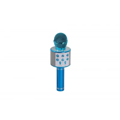 BUĞZ EMR-101 KUTULU KARAOKE MİKROFON