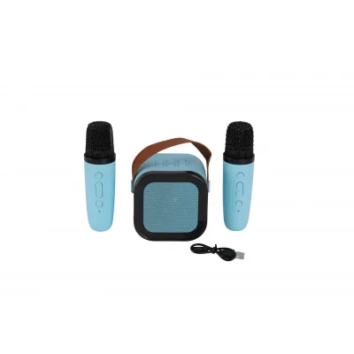 BUĞZ EMR-102 KUTULU 2Lİ KARAOKE MİKROFON