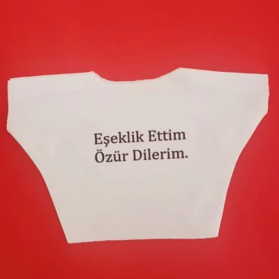 BUĞZ Eşeklik Ettim Yazılı Oyuncak Tişörtü