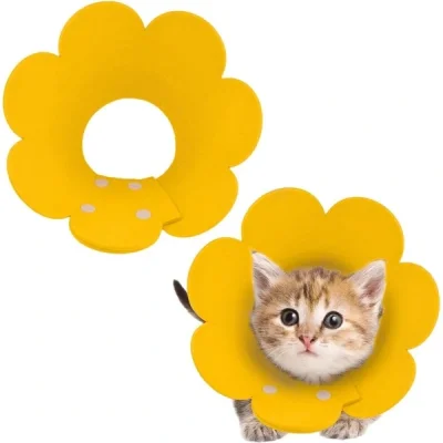 BUĞZ Evcil Hayvan S Boy Keçe Elizabeth Yakalığı