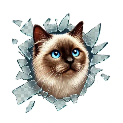 BUĞZ Fulcar Siamesse Araç Stickerı