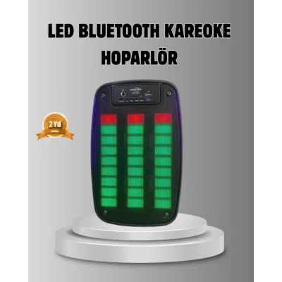 BUĞZ GTS 1793 Işıklı 6.5 İnç Kablosuz Hoparlör Bluetooth, USB ve FM Özellikli