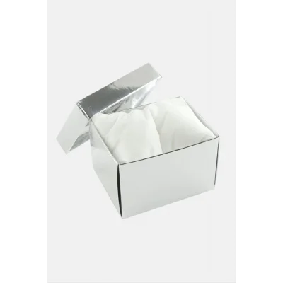 BUĞZ Gümüş Renkli Kapaklı Saat Kutusu