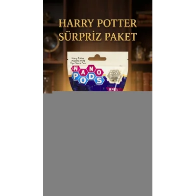 BUĞZ Harry Potter Koleksiyon Figür Seti 2li - Sürpriz Temalı Oyuncak