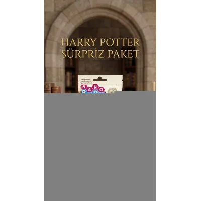 BUĞZ Harry Potter Koleksiyon Sürpriz Figür Oyuncak Seti