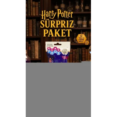 BUĞZ Harry Potter Temalı Koleksiyonluk Sürpriz Figür Seti 2li Paket