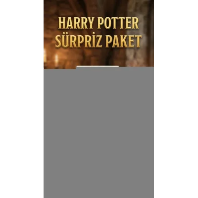 BUĞZ Harry Potter Temalı Sürpriz Figür Koleksiyonu Oyuncak Seti