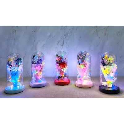 BUĞZ Işıklı Müzikli Cam Fanus İçinde Lavantalı Romantik Gül