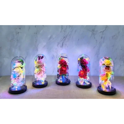 BUĞZ Işıklı Müzikli Cam Fanus İçinde Romantik Gül