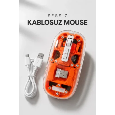 BUĞZ Kablosuz Mouse Fare 5.0 Bluetooth Bağlantılı USB Girişli