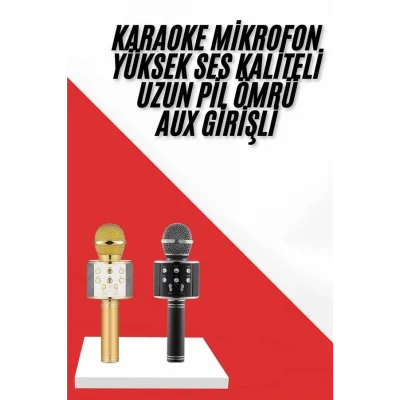 BUĞZ Karaoke Mikrofon Dahili Hoparlörlü Sd-usb-aux Girişli Bluetooth Hoparlör - Lisinya