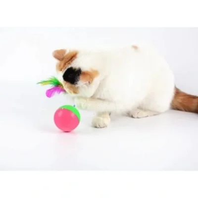 BUĞZ Kedi Fare Hacıyatmaz Oyunu